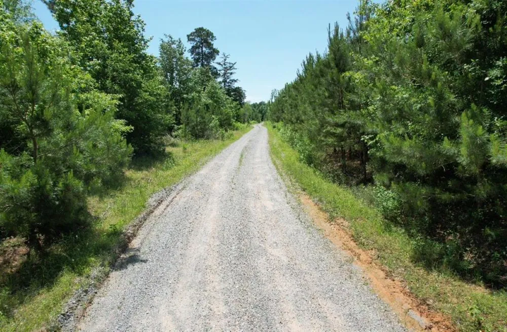 County Road 432 Tenaha, TX 75974