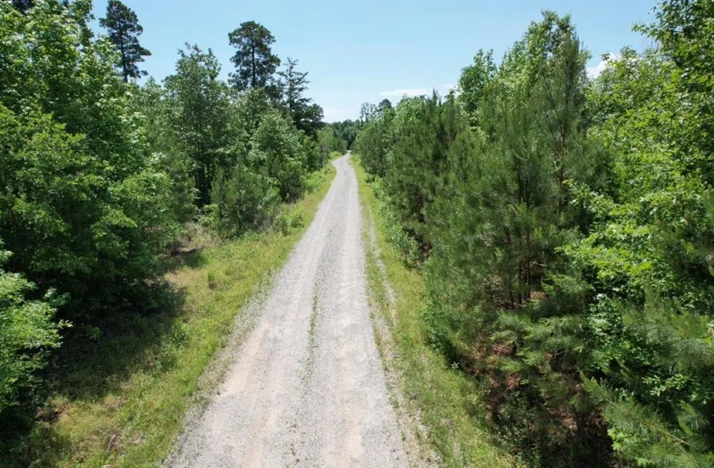 County Road 432 Tenaha, TX 75974