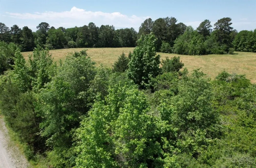 County Road 432 Tenaha, TX 75974