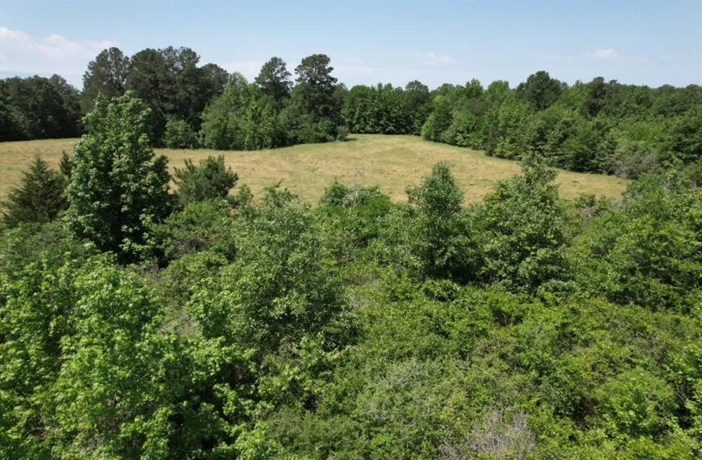 County Road 432 Tenaha, TX 75974