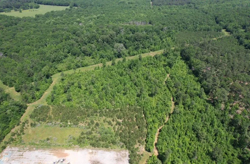 County Road 432 Tenaha, TX 75974