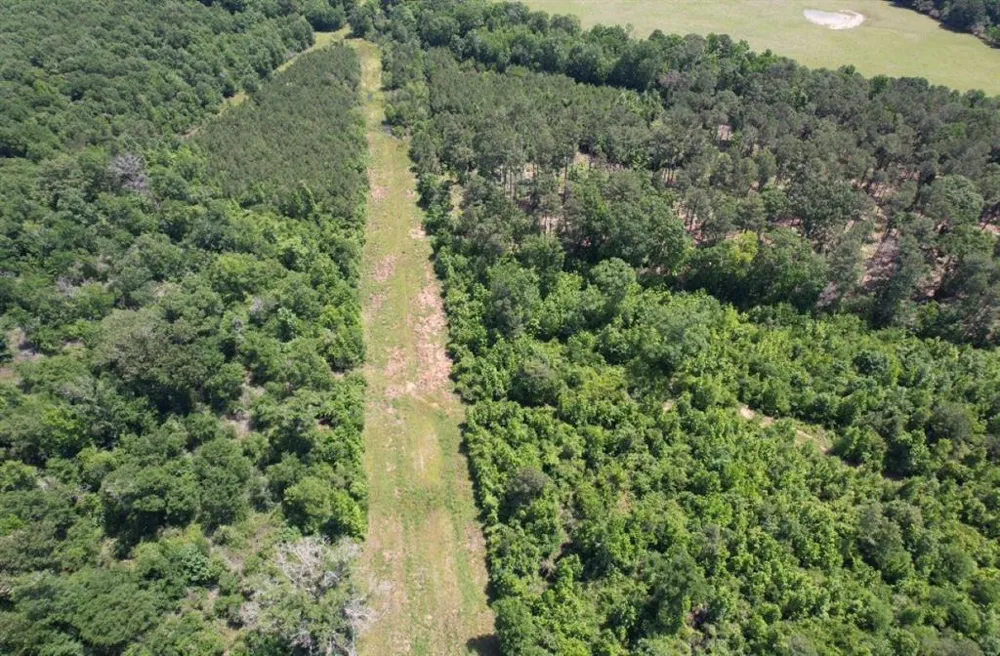 County Road 432 Tenaha, TX 75974