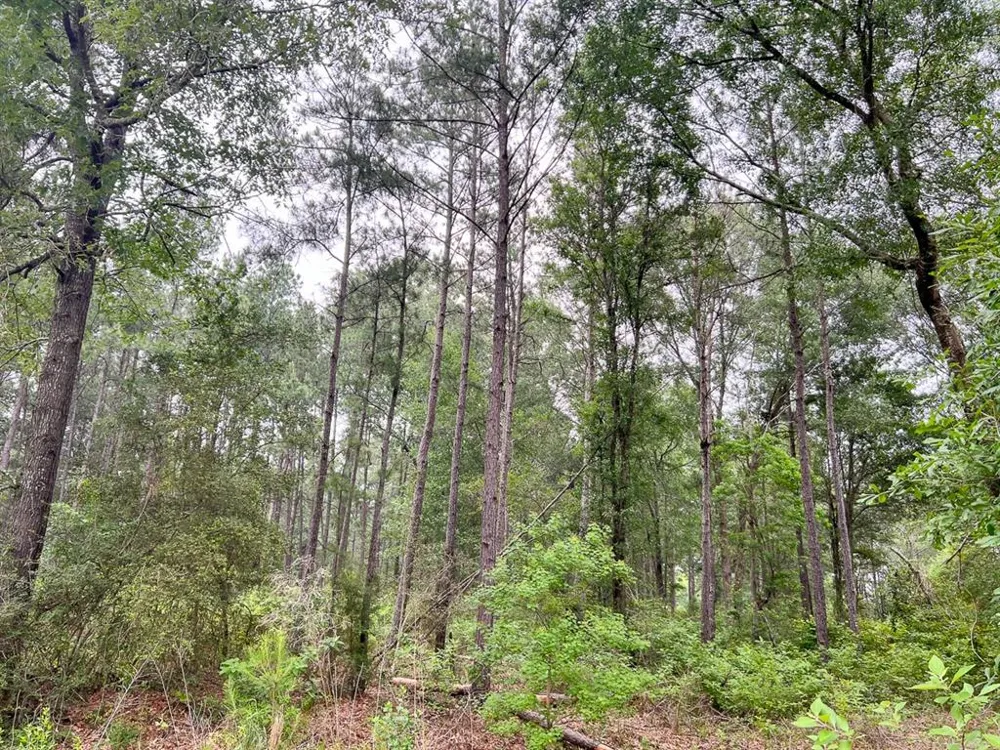 FM 1475 Lufkin, TX 75901