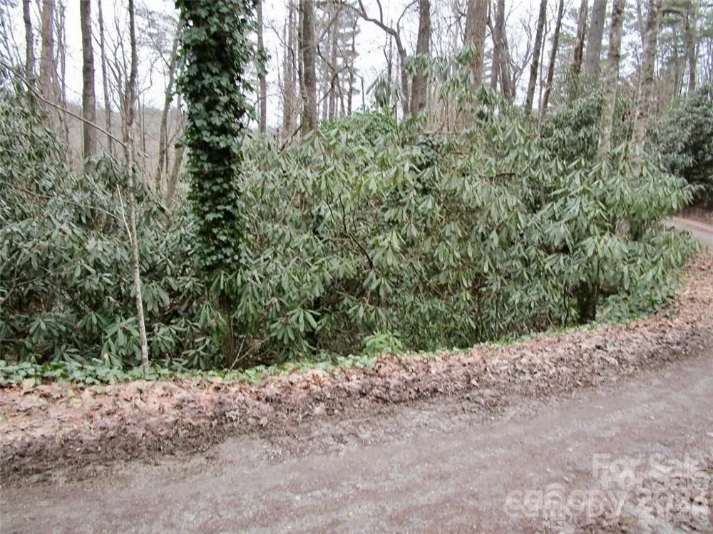 Lot #21 Toxaway Falls Drive Lake Toxaway, NC 28747