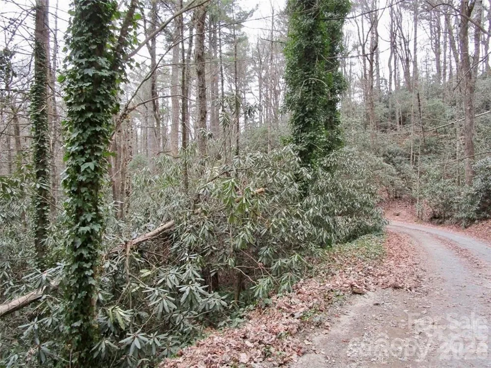 Lot #21 Toxaway Falls Drive Lake Toxaway, NC 28747