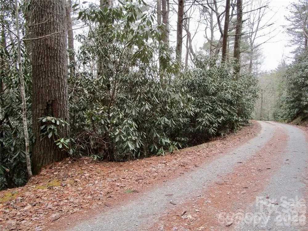 Lot #21 Toxaway Falls Drive Lake Toxaway, NC 28747