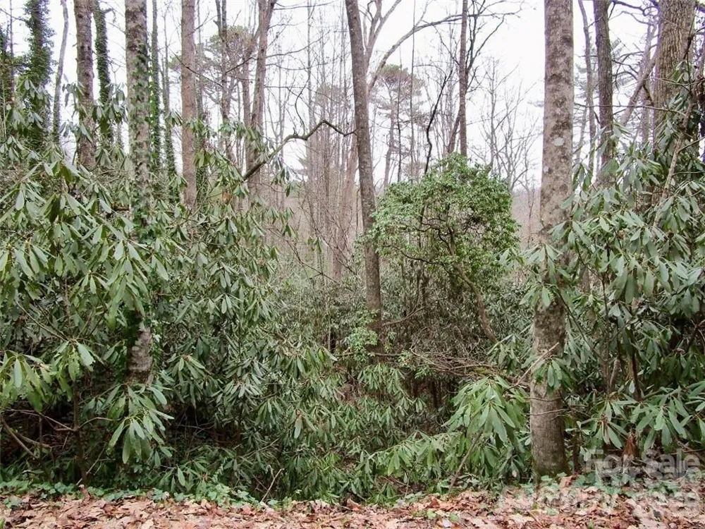 Lot #21 Toxaway Falls Drive Lake Toxaway, NC 28747
