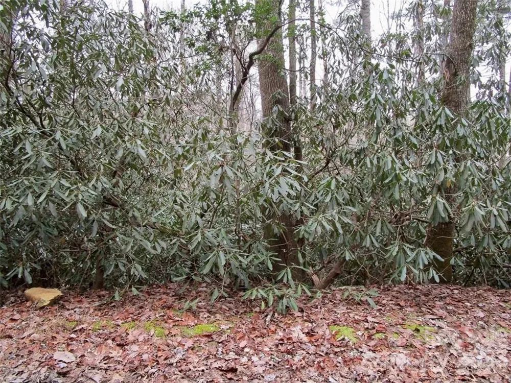 Lot #21 Toxaway Falls Drive Lake Toxaway, NC 28747