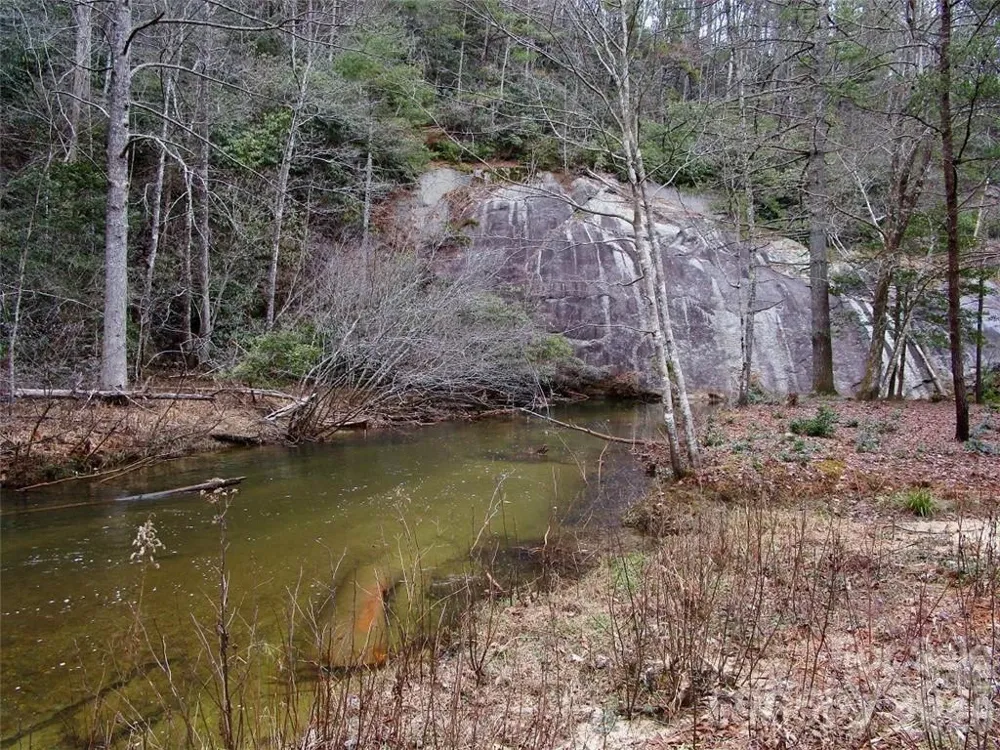 Lot #21 Toxaway Falls Drive Lake Toxaway, NC 28747