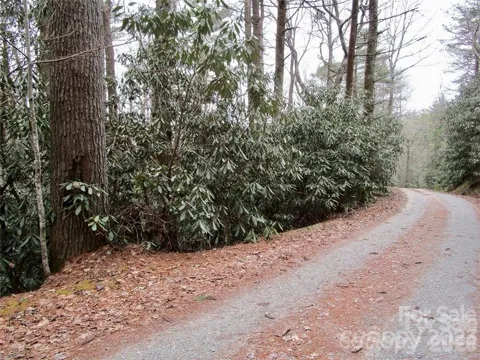Lot #22 Toxaway Falls Drive