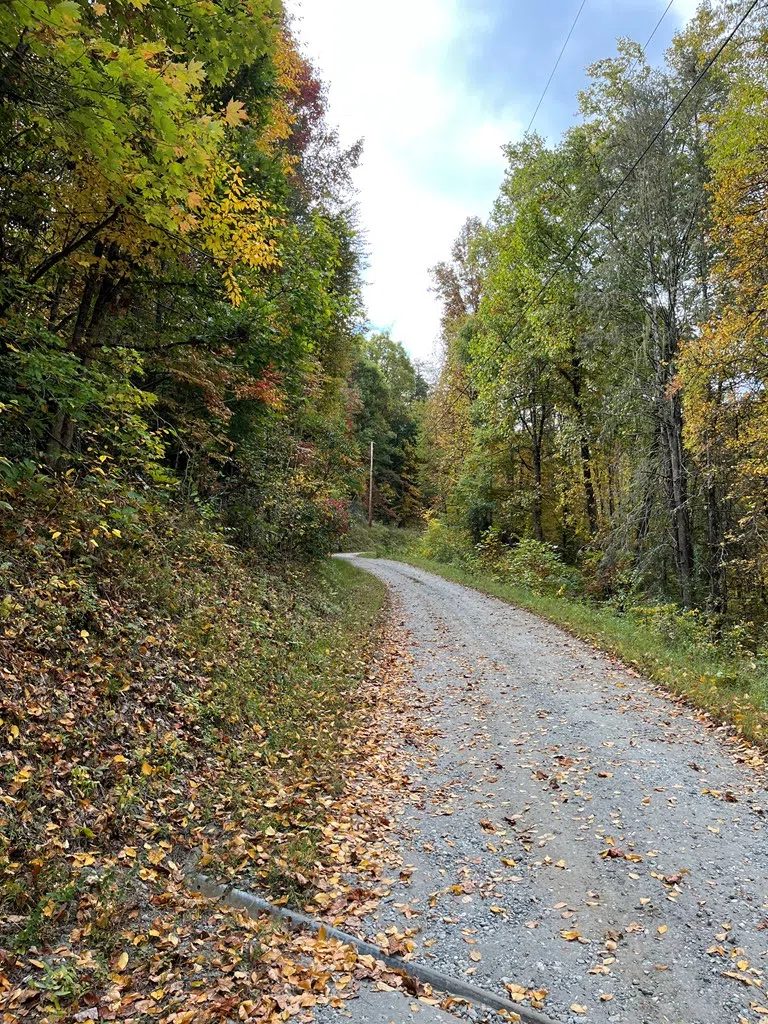 U.S. 441 Whittier, NC 28789