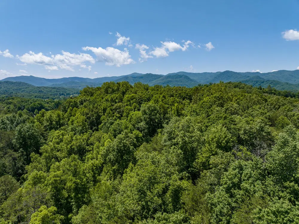U.S. 441 Whittier, NC 28789