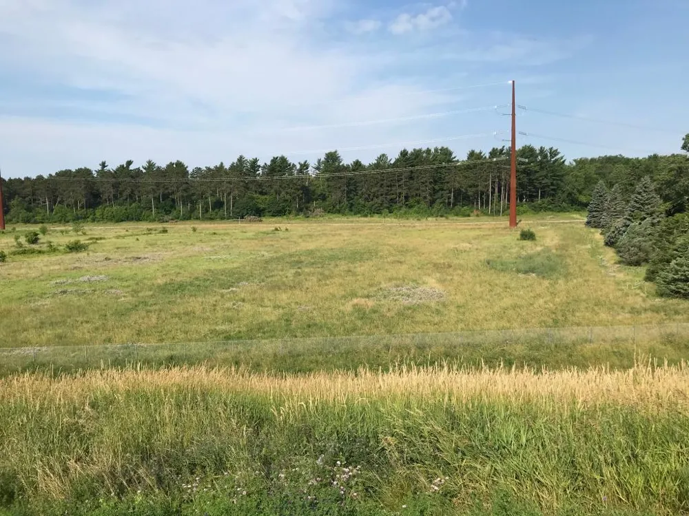 xxx 63rd Avenue Cannon Falls, MN 55009