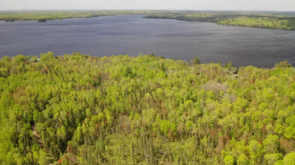 Parcel A S Niles Bay Forest Road Orr, MN 55771