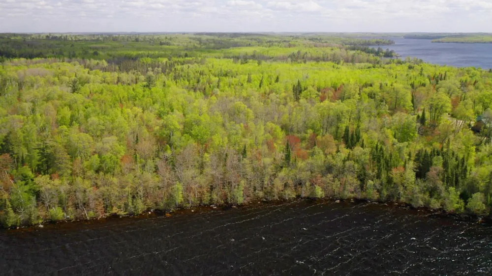 Parcel A S Niles Bay Forest Road Orr, MN 55771