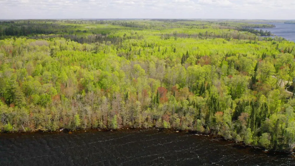 Parcel A S Niles Bay Forest Road Orr, MN 55771