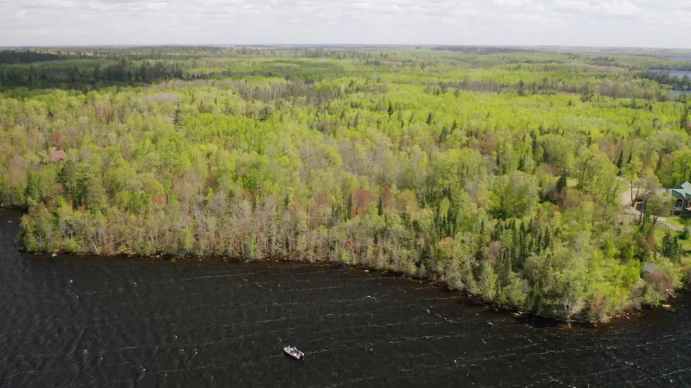 Parcel A S Niles Bay Forest Road Orr, MN 55771