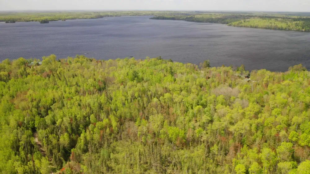 Parcel B S Niles Bay Forest Road Orr, MN 55771