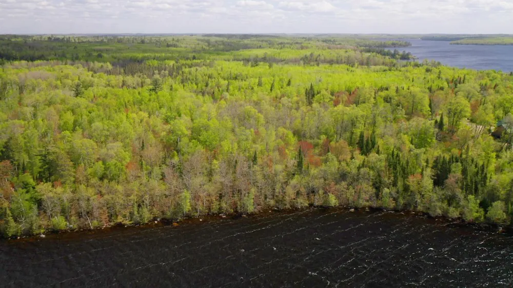 Parcel B S Niles Bay Forest Road Orr, MN 55771