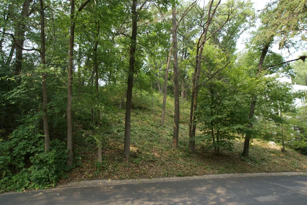 1408 Alpine Pass Golden Valley, MN 55416
