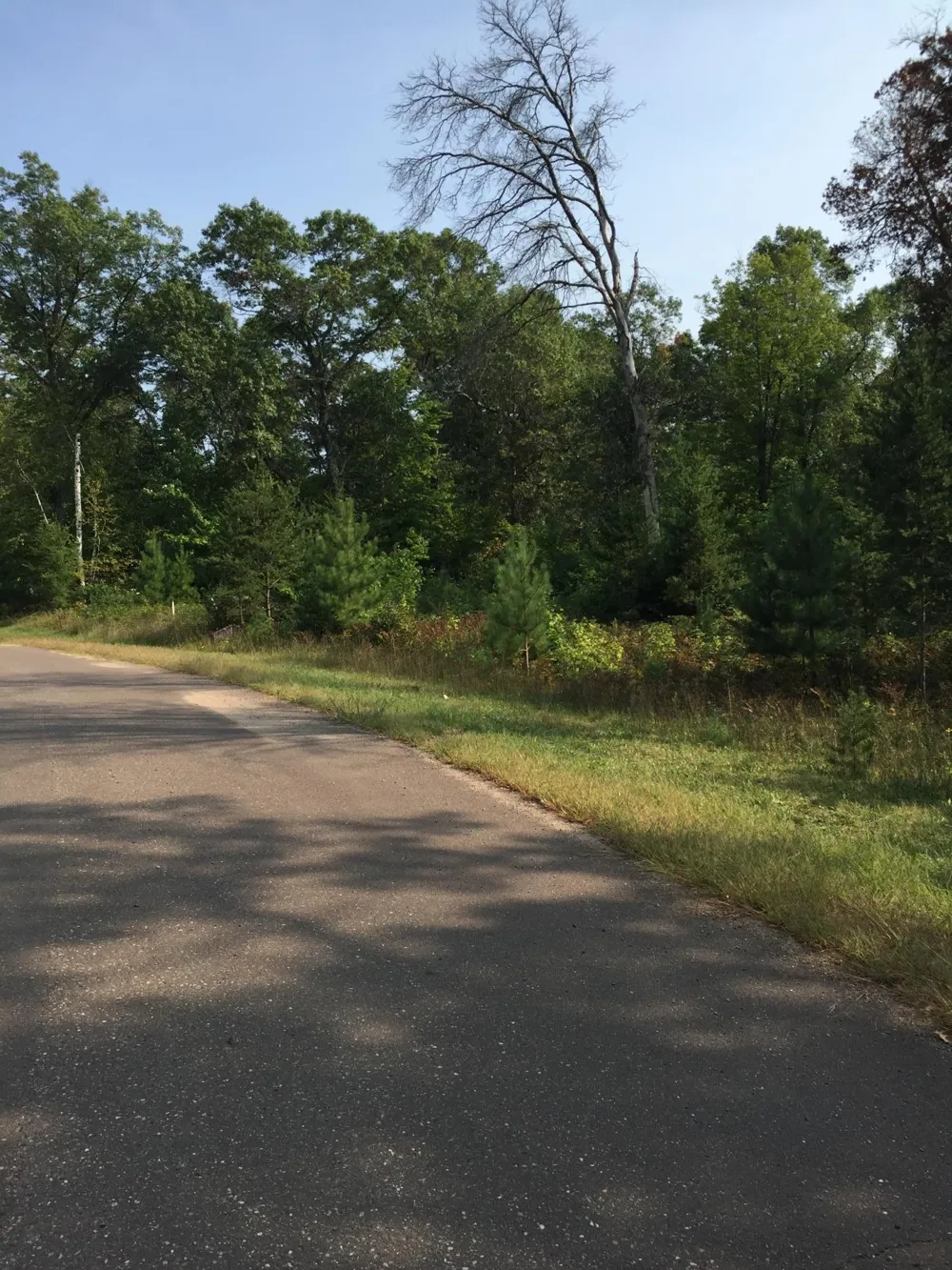 Lot 24 Shady Lane Siren, WI 54872