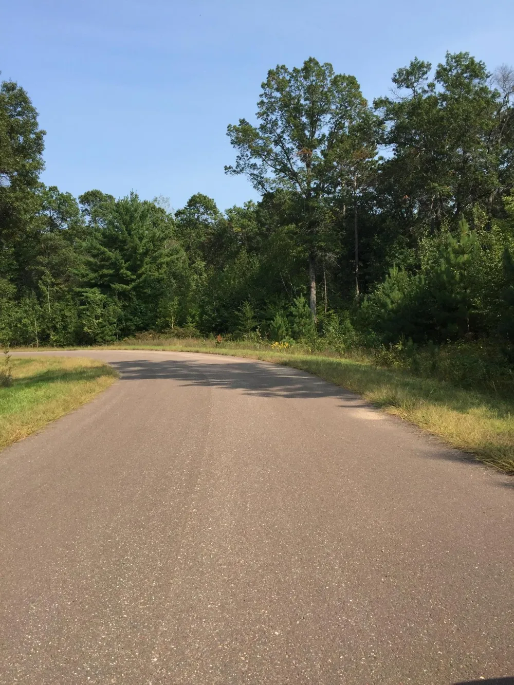 Lot 24 Shady Lane Siren, WI 54872