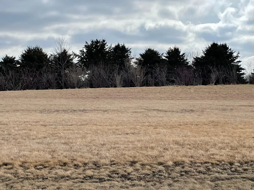 531 Hillcrest Street Edgerton, MN 56128
