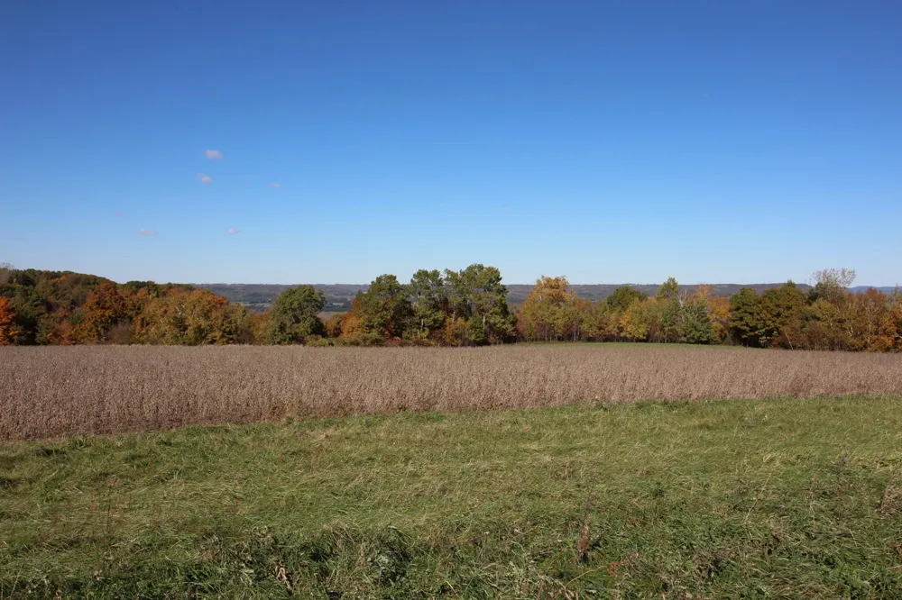 Lot 18 215th Avenue Wabasha, MN 55981