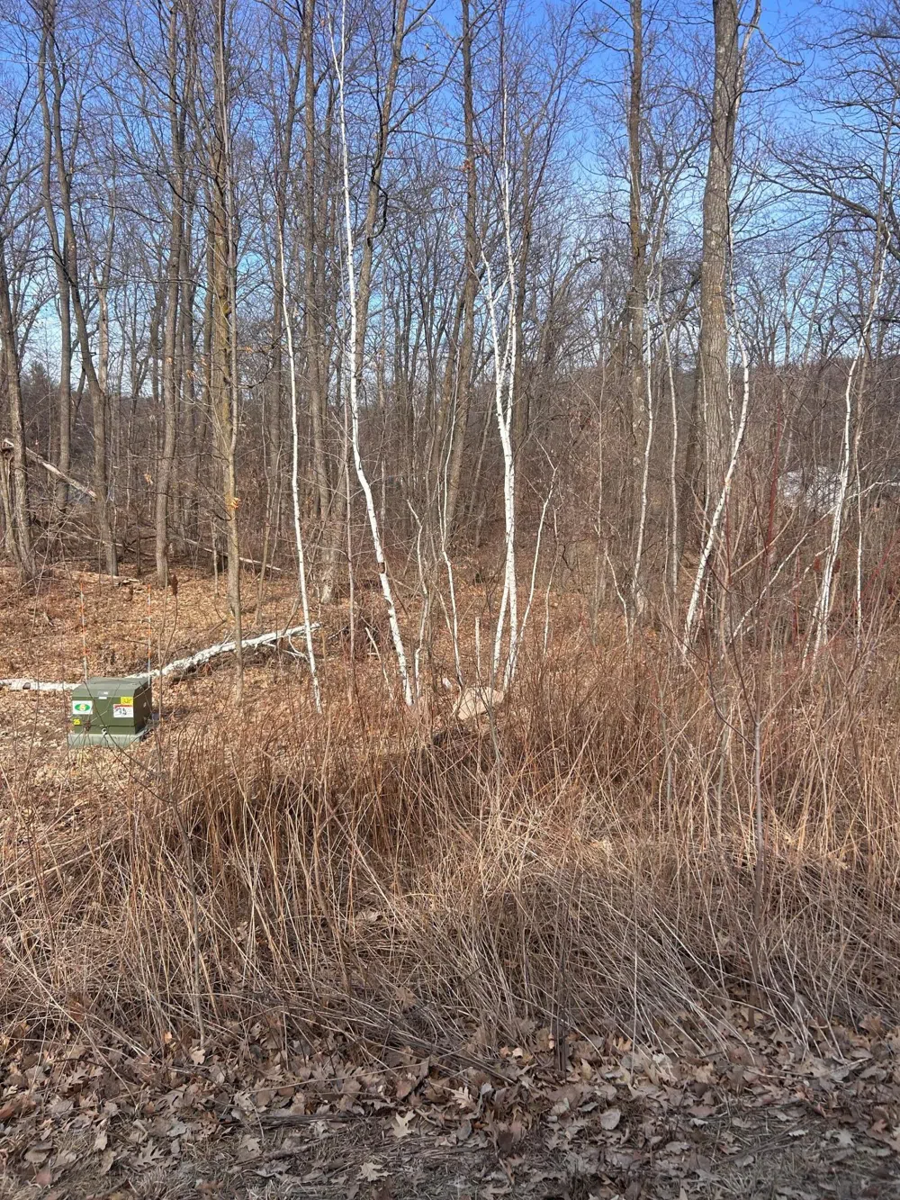 xxx Lake Camile Rd Cushing, MN 56443