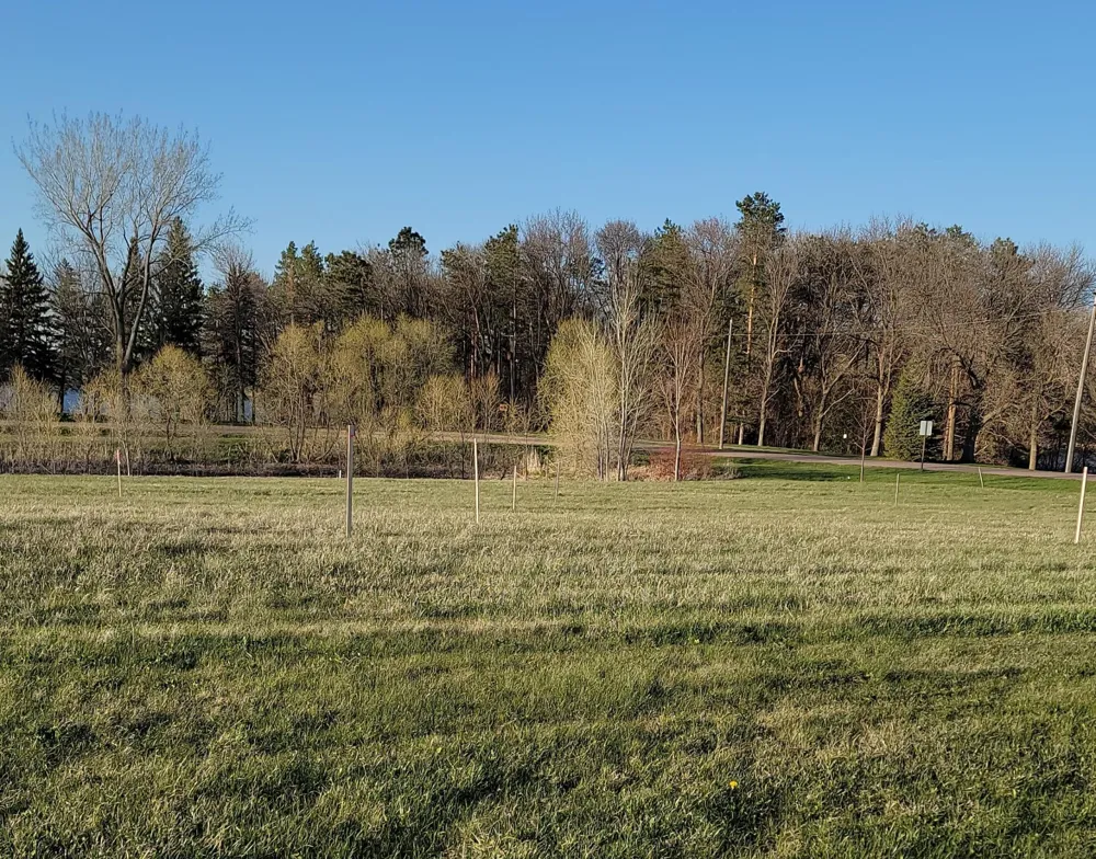 Blk 2 Lot 10 Sunset Avenue-Prairie Lane Mountain Lake, MN 56159