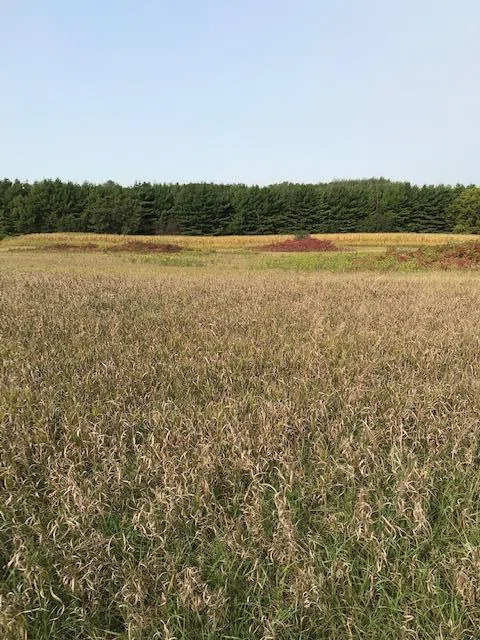 TBD Pine Bluff (site 15) Road NW