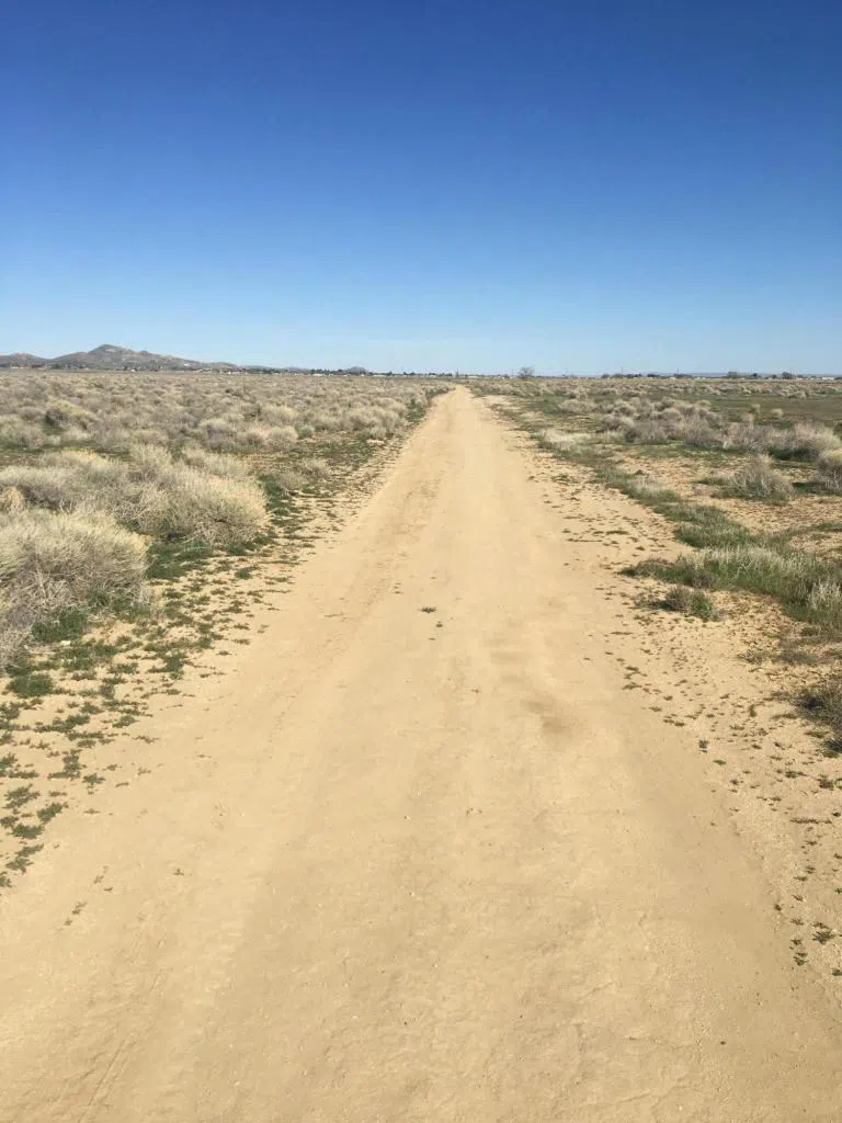 40 W and Willow Avenue Rosamond, CA 93560