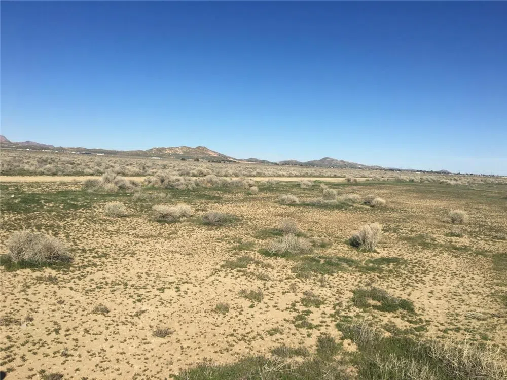 40 W and Willow Avenue Rosamond, CA 93560