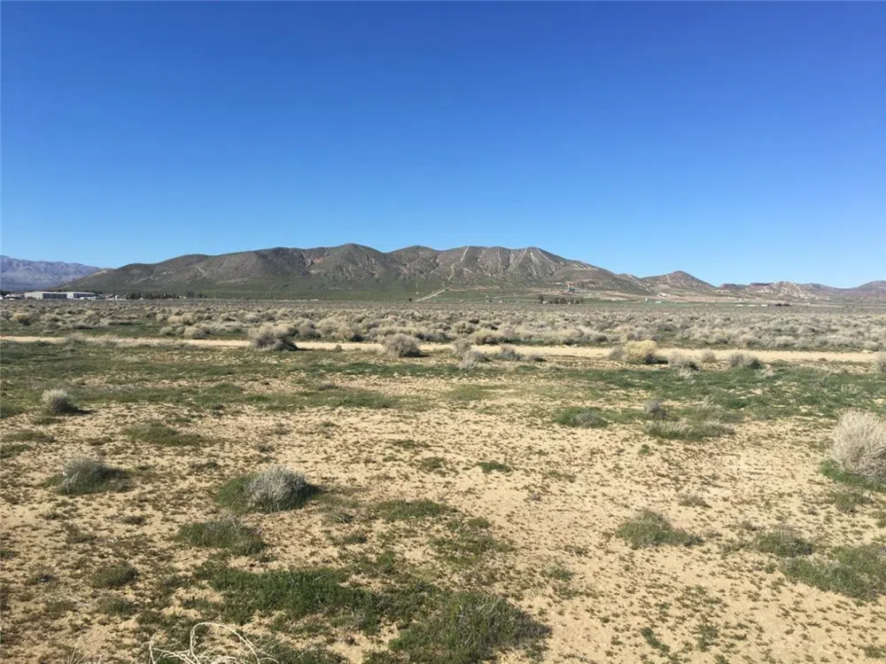 40 W and Willow Avenue Rosamond, CA 93560