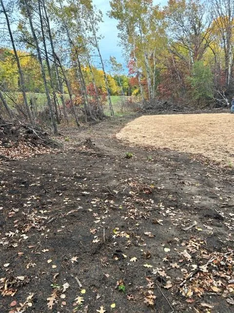 xxx Aztec Rd Motley, MN 56466