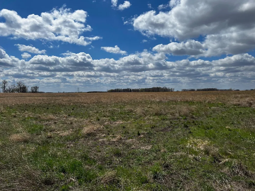 000 541st Avenue Courtland, MN 56021