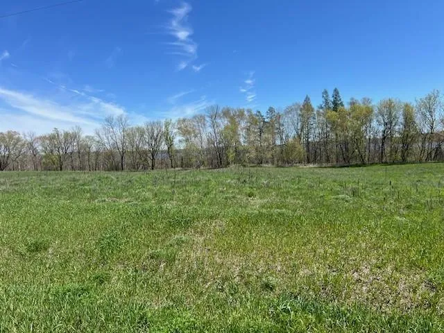Lot 15 Alum Trail Grey Eagle, MN 56336