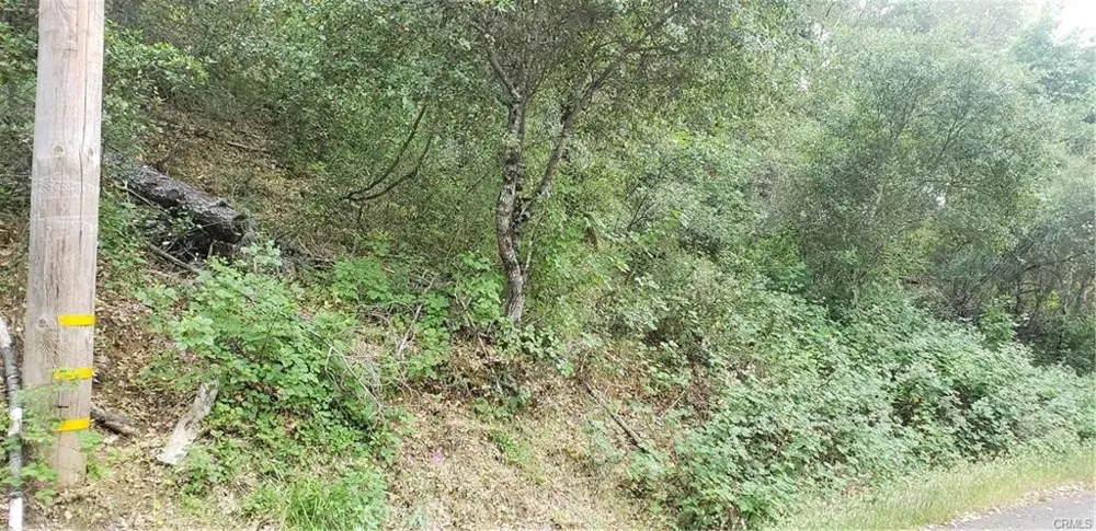 7248 High Street Nice, CA 95464