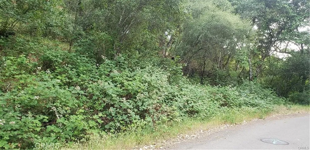 7248 High Street Nice, CA 95464