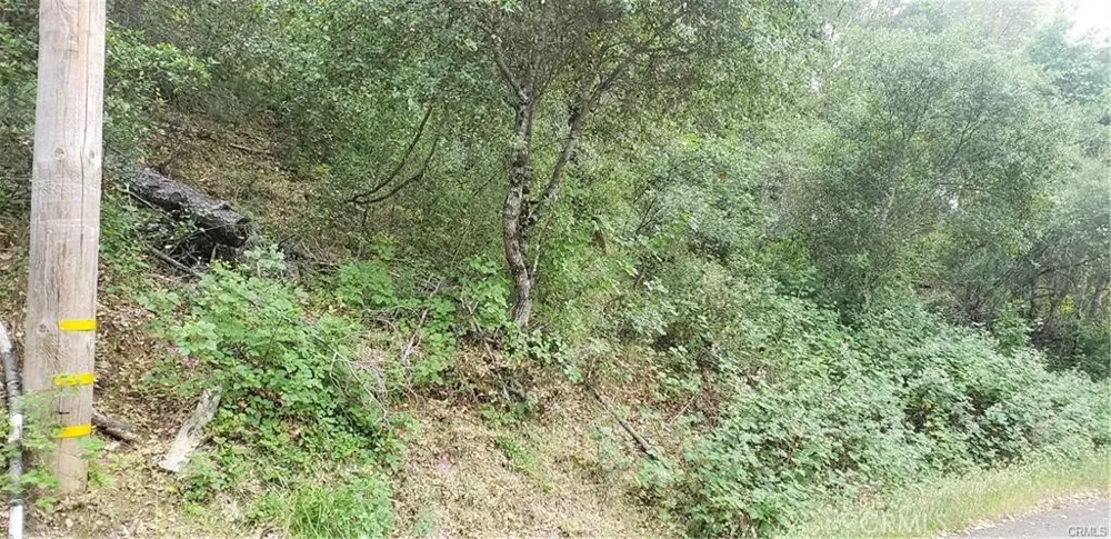 7248 High Street Nice, CA 95464