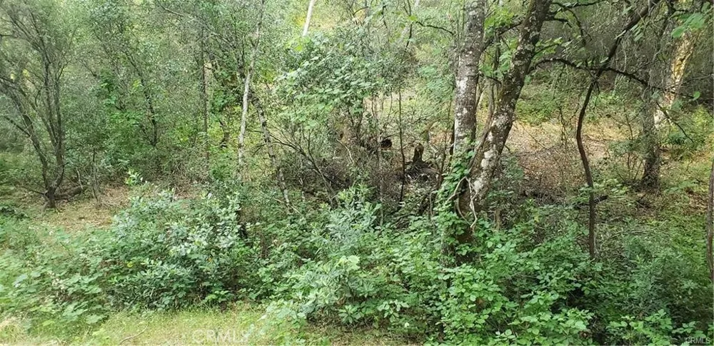 7248 High Street Nice, CA 95464