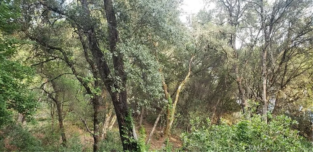 7248 High Street Nice, CA 95464