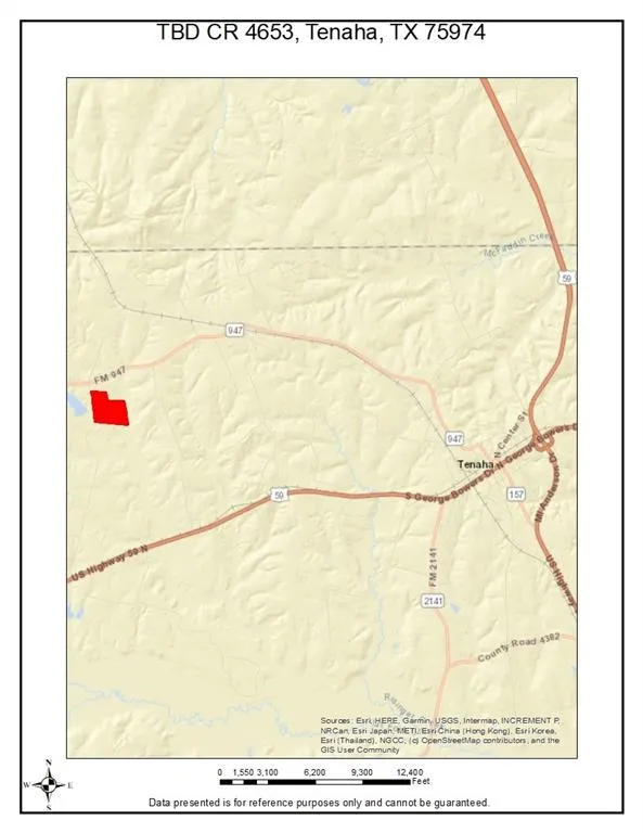 County Road 4653 Tenaha, TX 75974