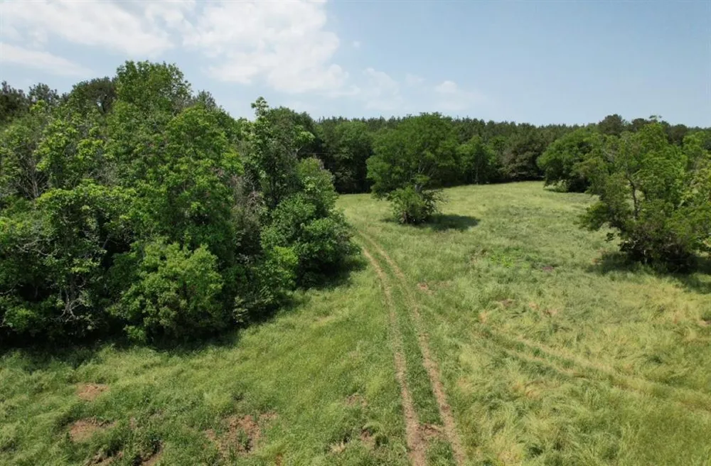 County Road 4653 Tenaha, TX 75974