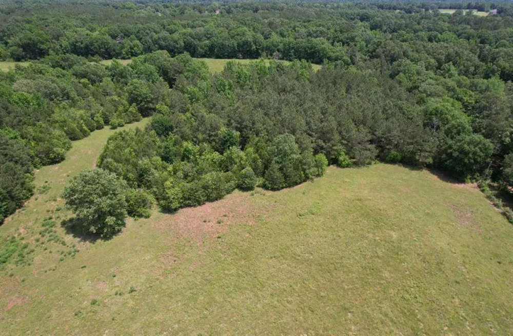County Road 4653 Tenaha, TX 75974