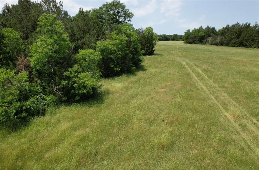 County Road 4653 Tenaha, TX 75974