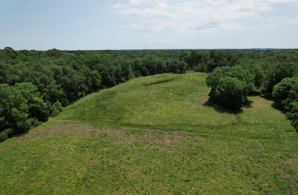 County Road 4653 Tenaha, TX 75974