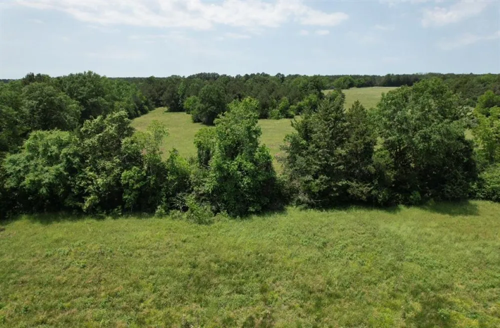 County Road 4653 Tenaha, TX 75974