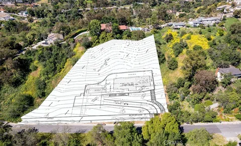 Las Palomas Drive