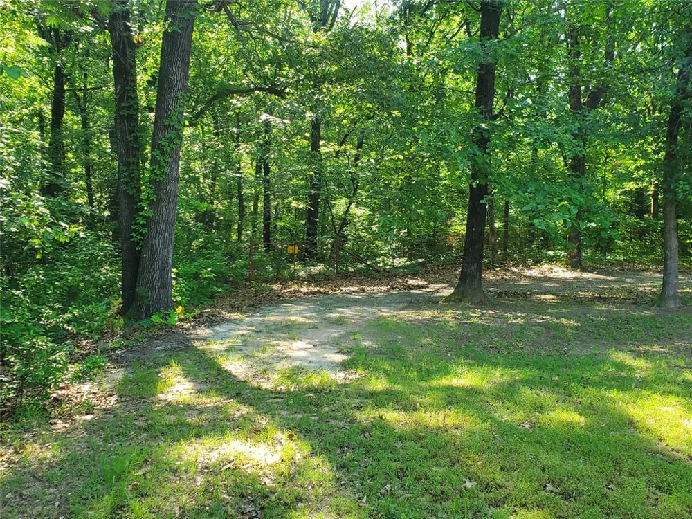 456 PR 41 Honey Grove, TX 75446